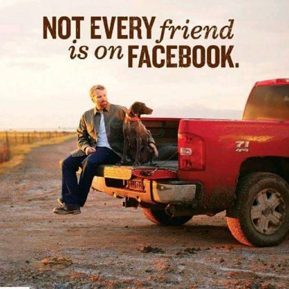 Meet your Posher, Tina - Picture 1 of 1